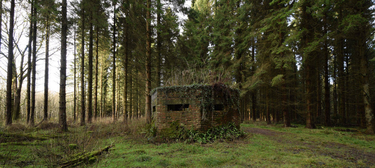 Site Visit Part II – Randalstown Forest, Second World War Defences